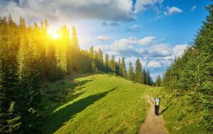 Chemin en forêt symbolisant le cheminement du changement