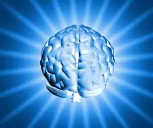 Gestion du stress avec la Métakinébiologie® dans le cerveau