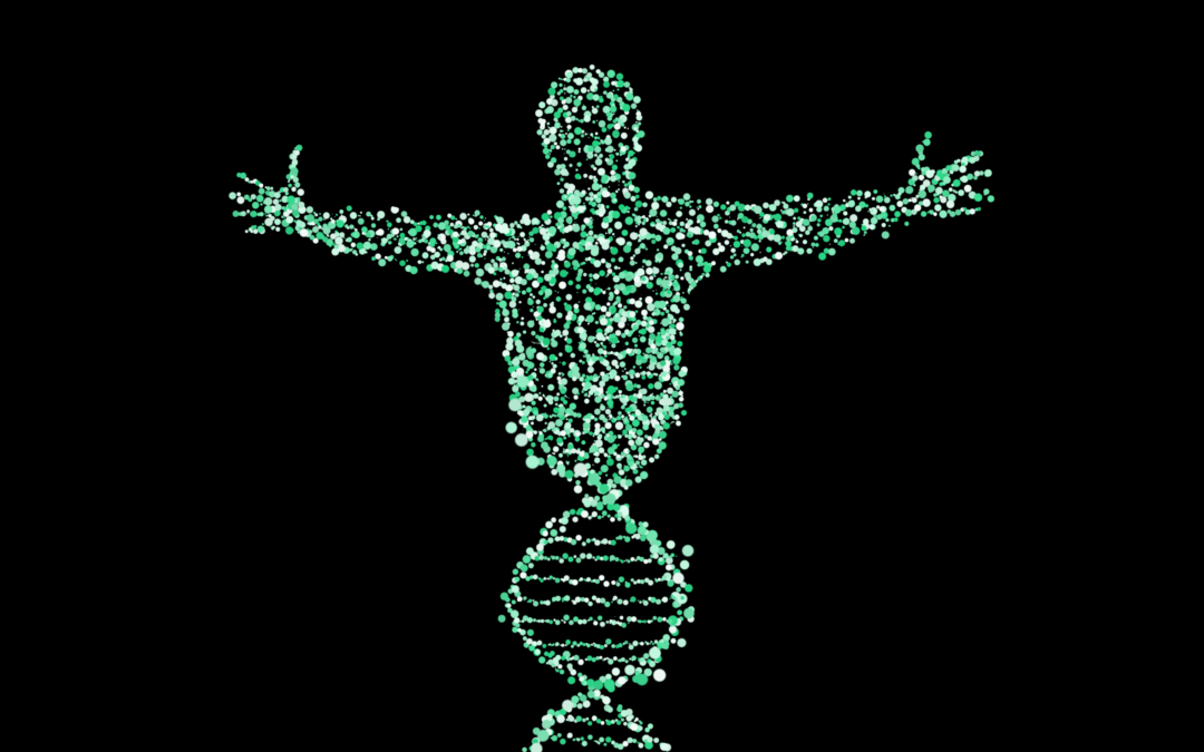 Le décodage biologique dans la relation d’aide.