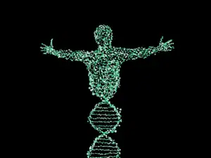 Le décodage biologique dans la relation d’aide.