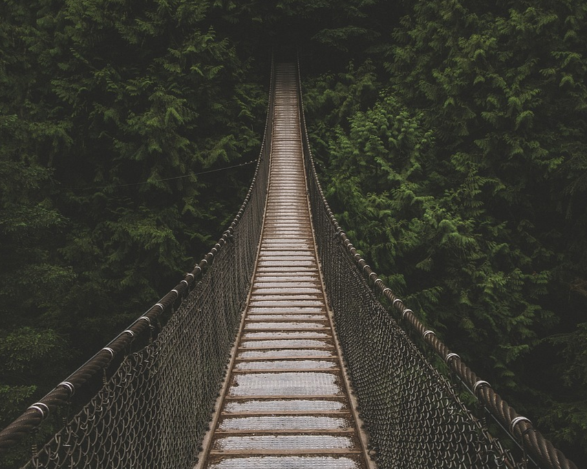 Métakinébiologie - Accédez à votre mémoire consciente et inconsciente